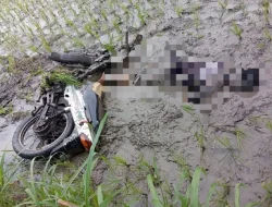 Diduga Sakit Saat Berkendara, Pemotor di Nganjuk Terpeleset Masuk Sawah dan Luka-luka