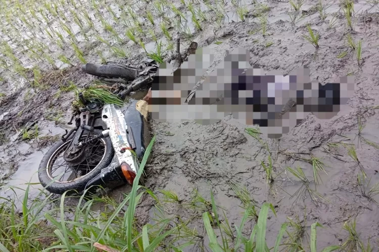 Diduga Sakit Saat Berkendara, Pemotor di Nganjuk Terpeleset Masuk Sawah dan Luka-luka