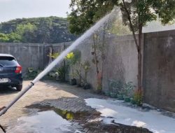 Sarang Tawon Vespa Resahkan Warga, Damkar Ponorogo Turun Tangan Setelah Bocah 10 Tahun Tersengat