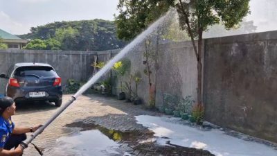 Sarang Tawon Vespa Resahkan Warga, Damkar Ponorogo Turun Tangan Setelah Bocah 10 Tahun Tersengat