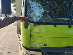 Lansia Tewas Ditabrak Truk Boks di Jalur Lamongan–Babat