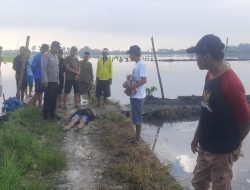 Tragis, Petugas Pengairan di Lamongan Tewas Tersengat Jebakan Tikus Beraliran Listrik