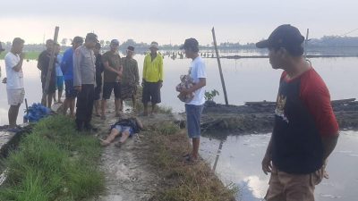 Tragis, Petugas Pengairan di Lamongan Tewas Tersengat Jebakan Tikus Beraliran Listrik