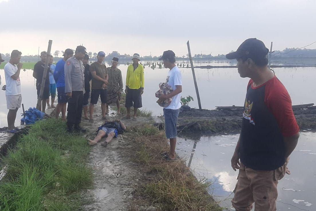 Tragis, Petugas Pengairan di Lamongan Tewas Tersengat Jebakan Tikus Beraliran Listrik