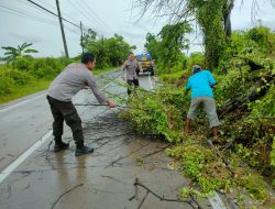 Hujan Deras Disertai Angin Kencang, Polsek Sekaran Sigap Bersihkan Pohon Tumbang