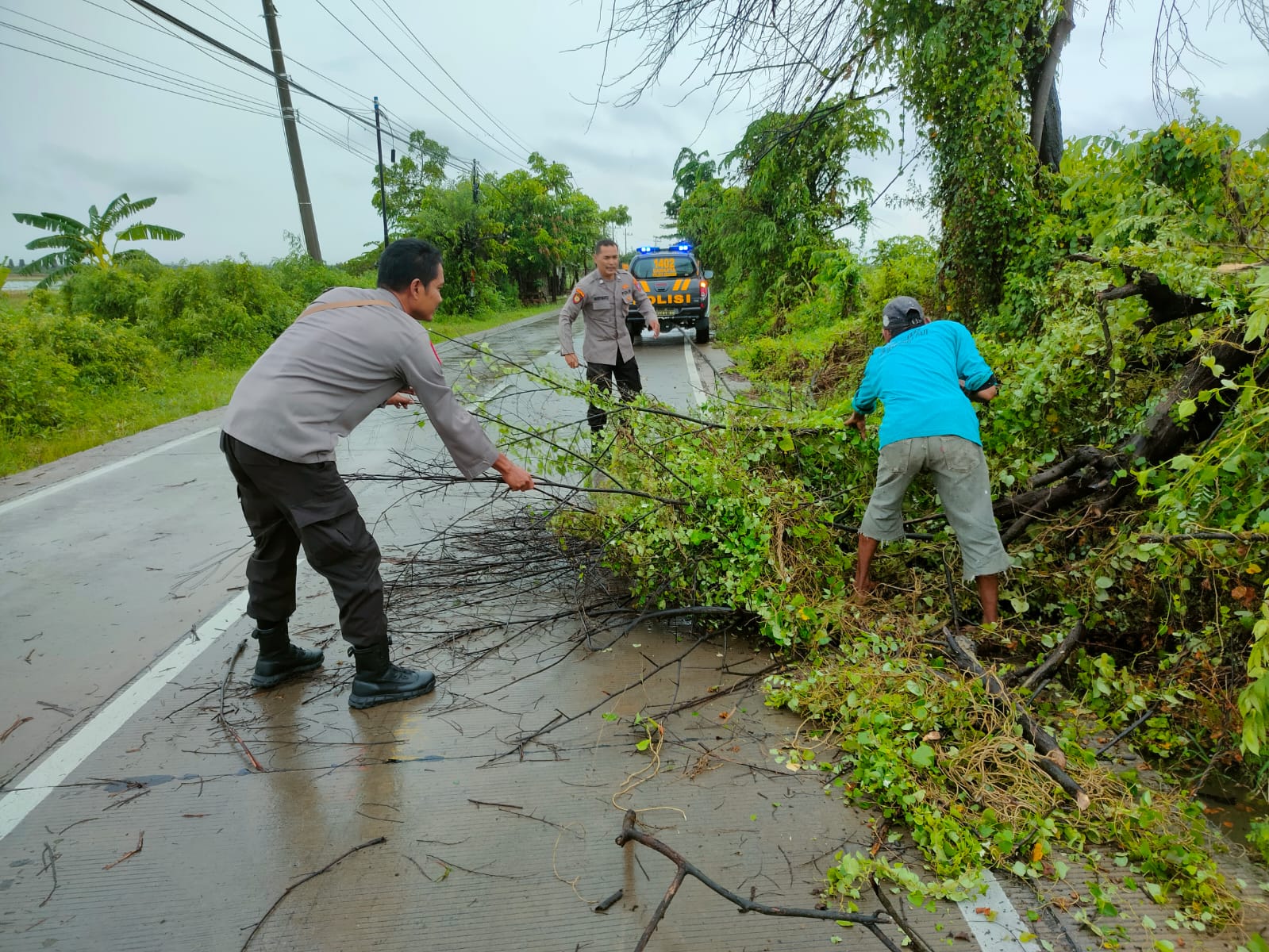 Tim Patroli Kota Persisi Polsek Sekaran melakukan pembersihan pohon tumbang di Jalan raya Pucuk - Sekaran (Ist)
