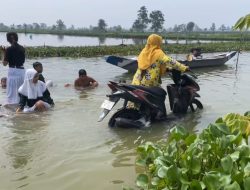 Banjir Luapan Bengawan Jero Lumpuhkan Akses Antar Desa di Lamongan, Ribuan Hektar Tambak Terendam