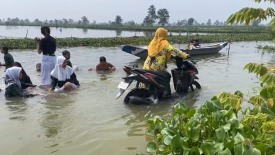 Banjir Luapan Bengawan Jero Lumpuhkan Akses Antar Desa di Lamongan, Ribuan Hektar Tambak Terendam