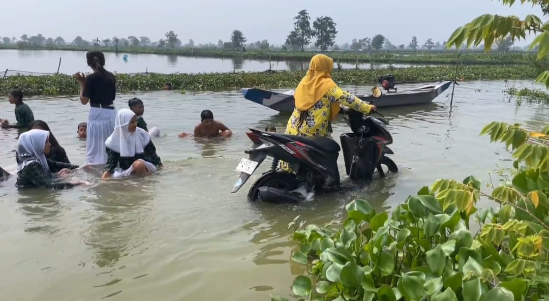 Banjir Luapan Bengawan Jero Lumpuhkan Akses Antar Desa di Lamongan, Ribuan Hektar Tambak Terendam