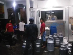 PMK Reda! Produksi Susu Segar di Kota Batu Kembali Naik 4000 Persen