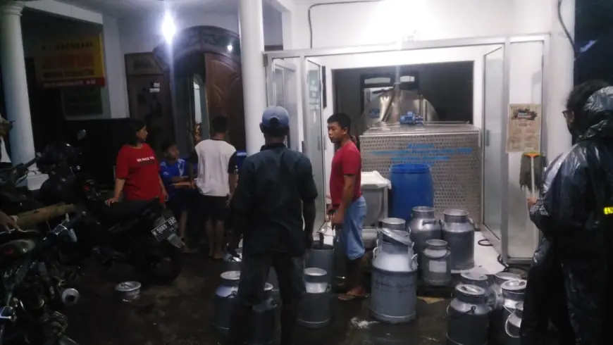 PMK Reda! Produksi Susu Segar di Kota Batu Kembali Naik 4000 Persen