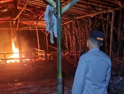 Polres Malang Gerebek Judi Sabung Ayam, 47 Motor dan Puluhan Ayam Diamankan!