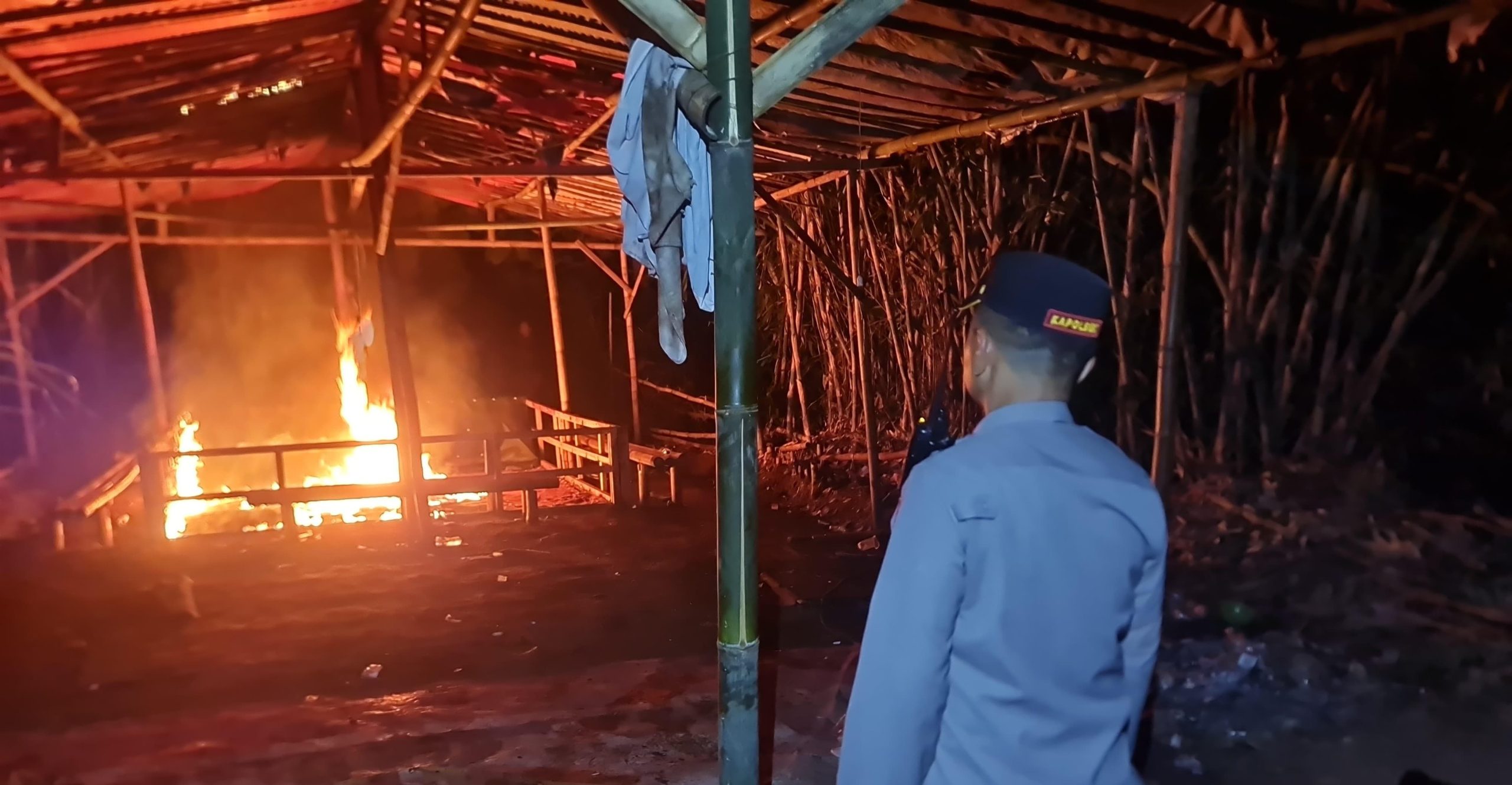 Polres Malang Gerebek Judi Sabung Ayam, 47 Motor dan Puluhan Ayam Diamankan!