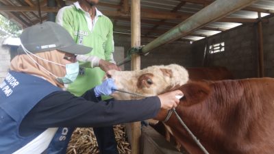 Idul Adha 2025, Pemkot Blitar Gratiskan Retribusi Pemotongan Hewan di RPH