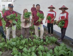 Lapas Kelas IIB Blitar Panen Sawi, Dorong Ketahanan Pangan dan Wirausaha Warga Binaan