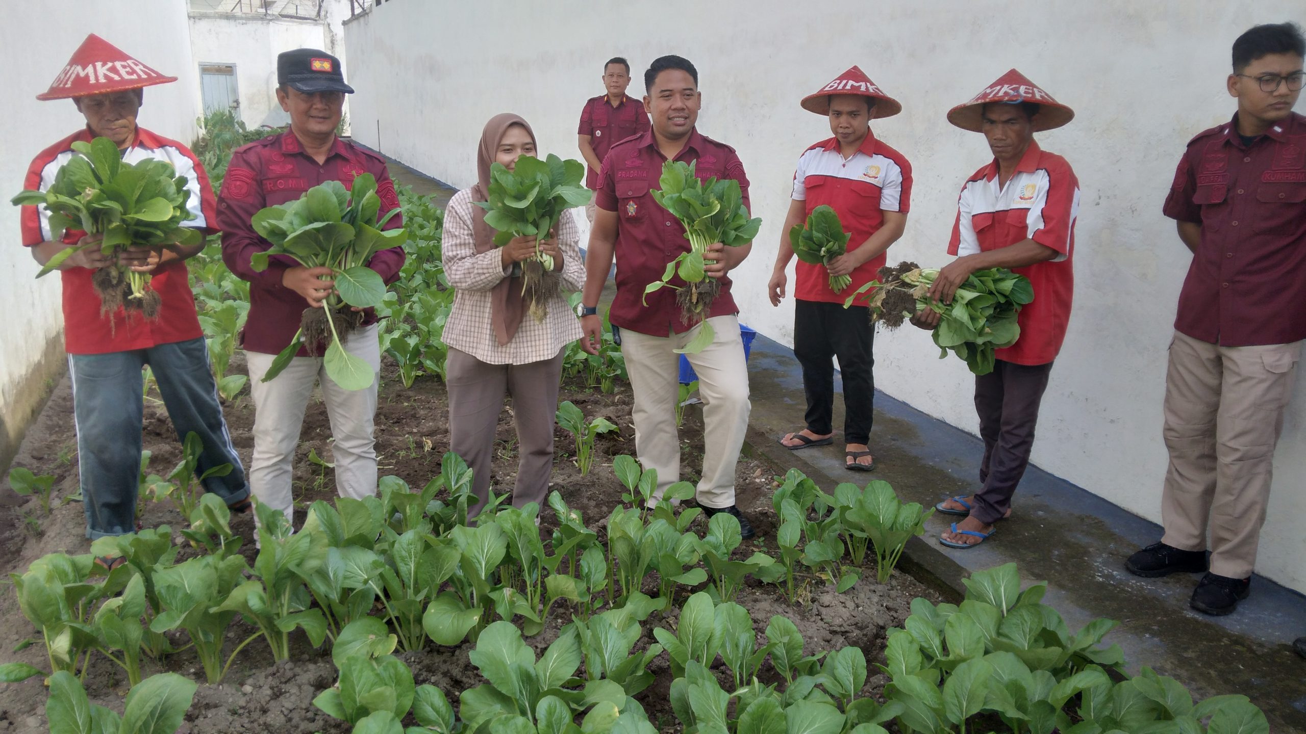 Lapas Kelas IIB Blitar Panen Sawi, Dorong Ketahanan Pangan dan Wirausaha Warga Binaan