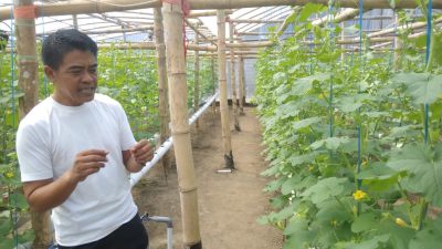 Gagal di Pilkada, Bayu Setyo Kuncoro Sukses Bertani Melon Hidroponik dan Berdayakan Warga