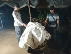 Diduga Jadi Lokasi Sabung Ayam, Pekarangan Kosong di Ngronggot Dibongkar Polisi