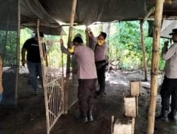 Polsek Bagor Bongkar Arena Sabung Ayam, Pelaku Kabur Tinggalkan Barang Bukti