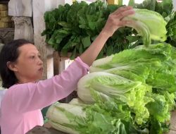 Jelang Idul Adha Harga Kebutuhan Pokok di Jombang Meroket