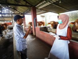 DKPP Kabupaten Kediri Pastikan Hewan Kurban Sehat dan Stok Aman