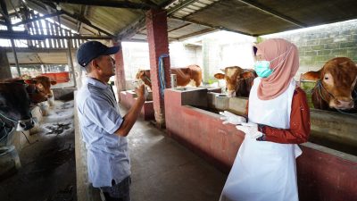DKPP Kabupaten Kediri Pastikan Hewan Kurban Sehat dan Stok Aman