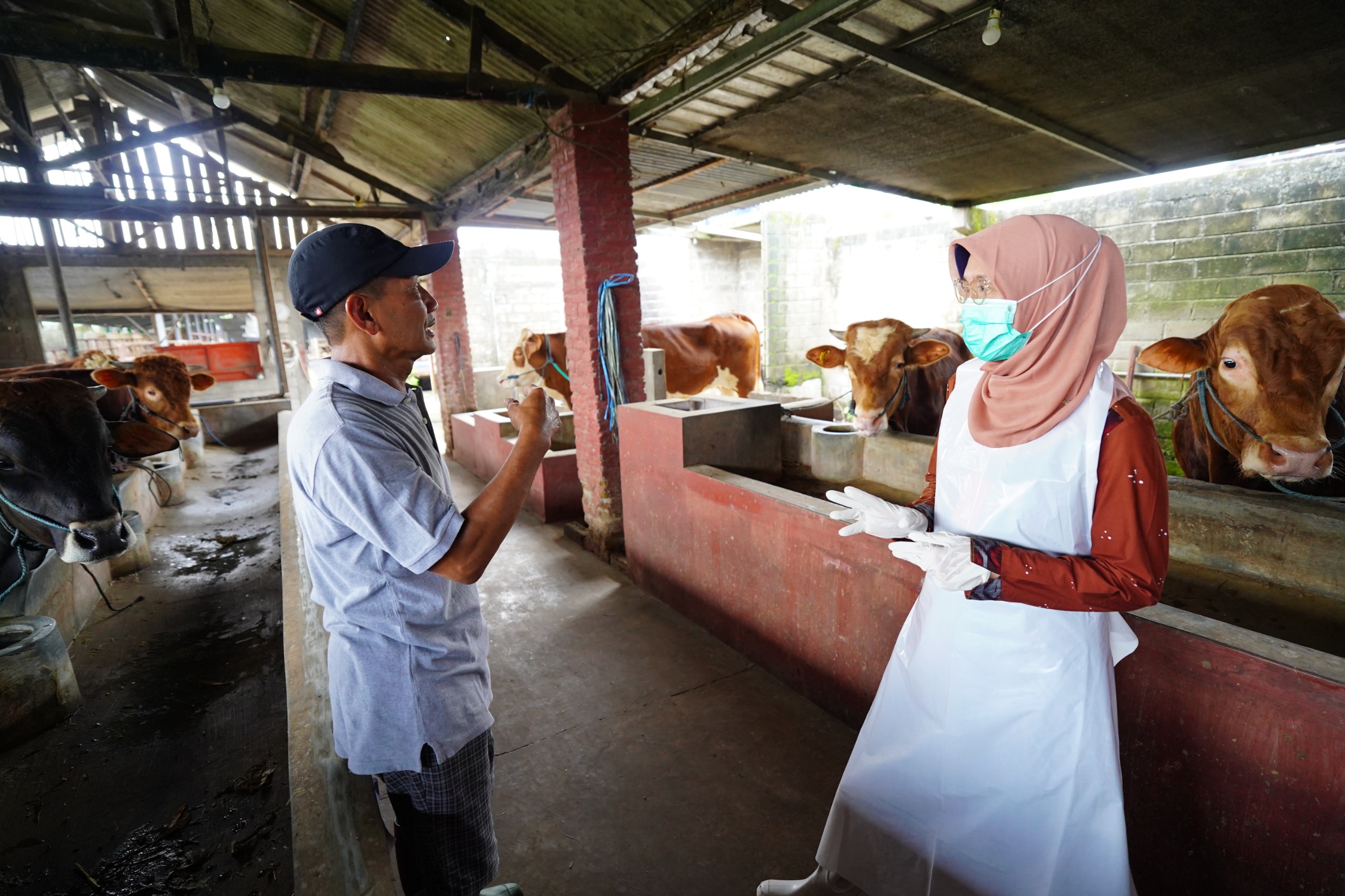DKPP Kediri Pastikan Hewan Kurban Sehat dan Stok Aman