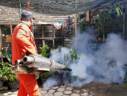 Efektif! PSN Tekan Kasus DBD di Tulungagung Meski Hujan Masih Melanda