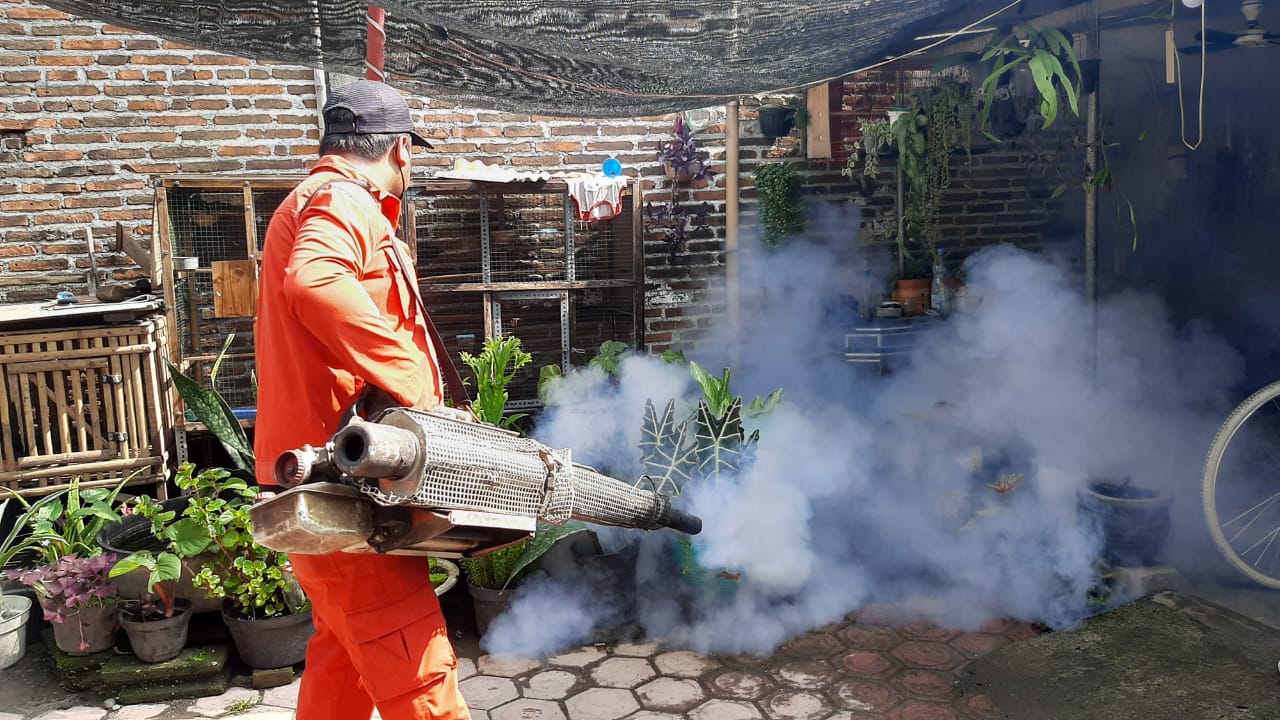 Efektif! PSN Tekan Kasus DBD di Tulungagung Meski Hujan Masih Melanda
