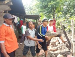 Hujan Lebat Picu Longsor Tanah Uruk Bekas JLS, Rumah Warga di Tulungagung Terdampak!