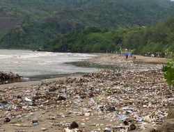 Ini 5 Pantai Tulungagung yang Sering Dipenuhi Sampah, Kesadaran Warga dan Pengawasan Masih Minim!