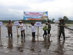 Dorong Swasembada Pangan, Kodim 0809/Kediri Luncurkan Gerakan Tanam LTT