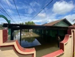 Banjir dan Karhutla Landa Sejumlah Wilayah di Awal Mei 2025, BNPB Serukan Kesiapsiagaan Daerah
