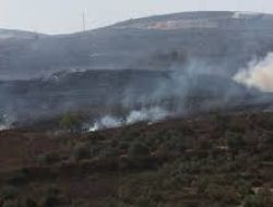 Lahan Pertanian Palestina Kembali Jadi Sasaran Pembakaran oleh Pemukim Israel