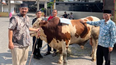 Wapres Gibran Sumbang Sapi Kurban untuk Ponpes Wali Barokah Kediri di Momen Idul Adha