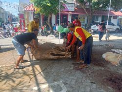Idul Adha di Masjid Al-Falah RW 07 Ngronggo, Kurban Jadi Simbol Persatuan Warga