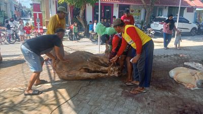 Iduladha di Masjid Al-Falah RW 07 Ngronggo: Kurban Jadi Simbol Persatuan Warga