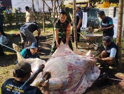 Idul Adha di Ketami, Danramil Pesantren Ajak Warga Perkuat Rasa Kepedulian Sosial