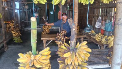 Minto, Pedagang Pisang Ikonik Pasar Ngadisimo dengan Omzet Harian Mencapai Rp 1 Juta