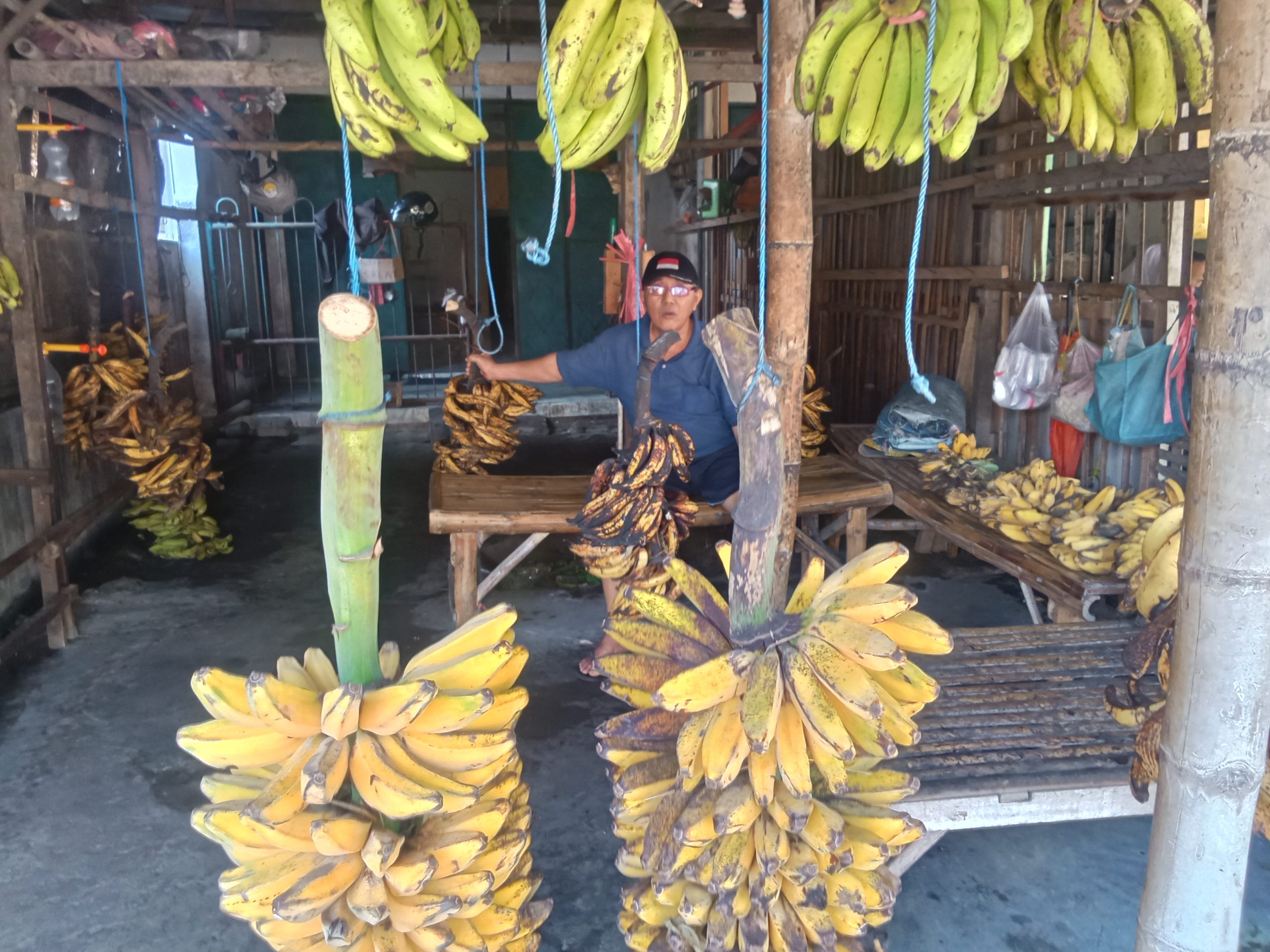 Minto, Pedagang Pisang Ikonik Pasar Ngadisimo dengan Omzet Harian Mencapai Rp 1 Juta