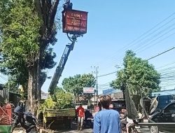 Antisipasi Angin Kencang, DLHKP Kota Kediri Pangkas Pohon Rindang di Beberapa Titik