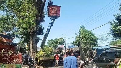 Cegah Bahaya Angin Kencang, DLHKP Kota Kediri Pangkas Pohon Rindang di Beberapa Titik