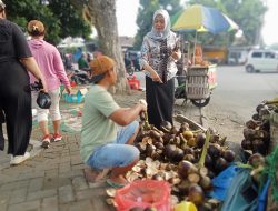 Segarnya Siwalan Dingin Khas Tuban Ramaikan Car Free Day SLG, Ini Infonya