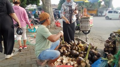 Segarnya Siwalan Dingin Khas Tuban Ramaikan Capriday SLG, Diserbu Pembeli