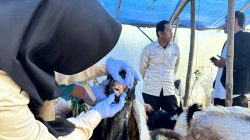 Jelang Iduladha 2025, Pemkab Lamongan Perketat Pemeriksaan Hewan Kurban