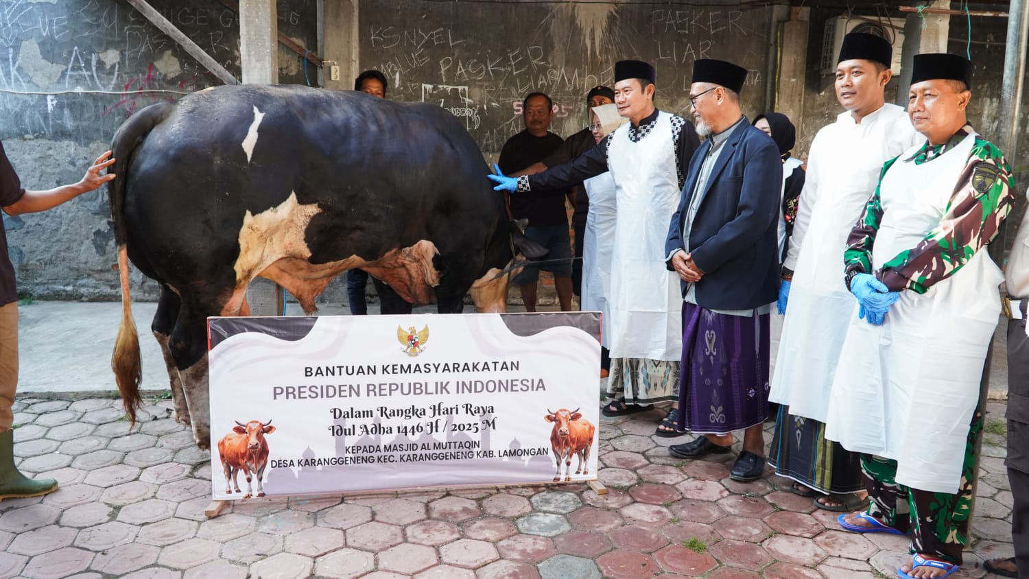 Presiden Prabowo Sumbang Sapi Kurban 1,18 Ton untuk Warga Lamongan, Bupati Yuhronur Serahkan Langsung di Karanggeneng