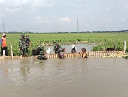 Tanggul Sungai Jebol di Modo Lamongan, TNI dan Warga Lakukan Perbaikan Darurat