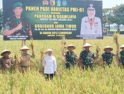 Pangdam V/Brawijaya dan Gubernur Jatim Panen Padi Unggul PMJ 01 di Lamongan