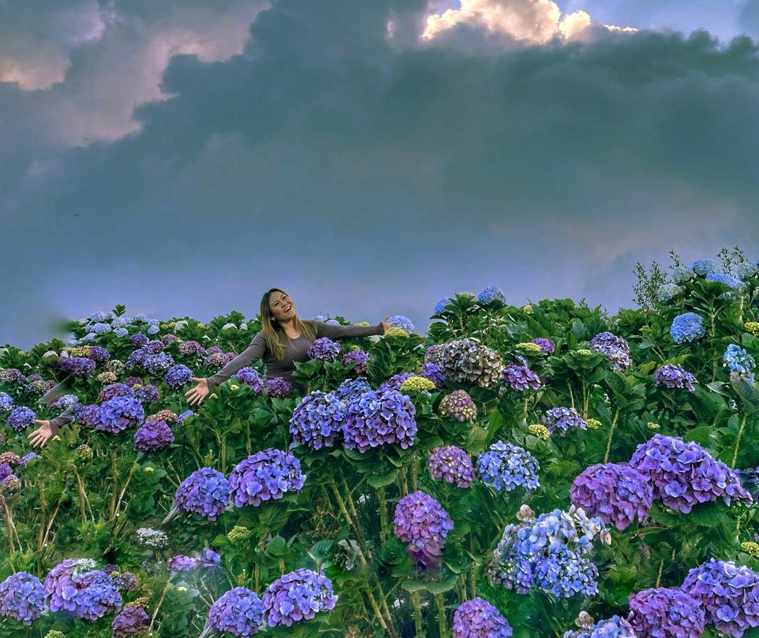 Menikmati Indahnya Kebun Bunga Hortensia, Destinasi Wisata Kota Batu Bak Dunia Ghibli yang Lagi Viral!