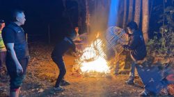 Resahkan Warga! Arena Sabung Ayam di Malang Akhirnya Dibongkar dan Dibakar